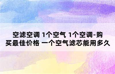 空滤空调 1个空气+1个空调-购买最佳价格 一个空气滤芯能用多久